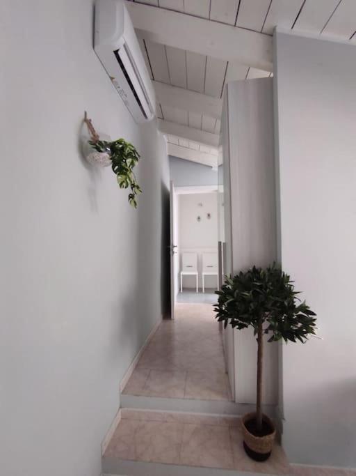 Apartament Free Parking Tiny House Wifi Netflix 15 Minuti Dal Duomo Mediolan Zewnętrze zdjęcie
